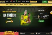 Giới thiệu sơ lược về 11Bet